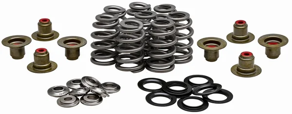 KPMI - 20-21800 - Valve Spring Kit