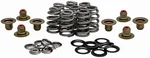 KPMI - 20-21800 - Valve Spring Kit