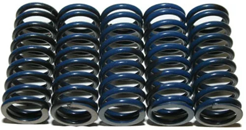 Hinson CS294-5-0109 Clutch Springs - High-Performance Motorcycle Clutch Kit