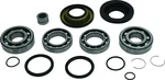ALL BALLS - 25-2138 - Differential Bearing & Seal Kit