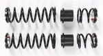 ZBROZ - K101-CAT-36 - Dual Rate Spring Kit