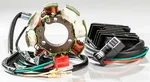 RICKS - 99-601 - HO Stator/Regulator Kit
