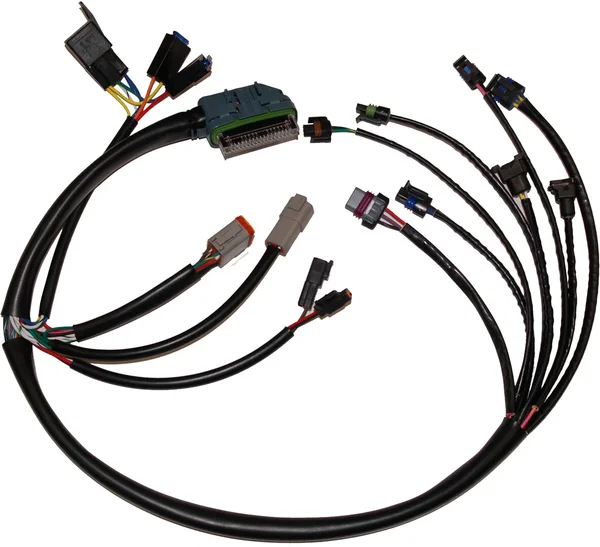 NAMZ CUSTOM CYCLE - NHD-70233-02 - Ignition/EFI Wiring Harnesses