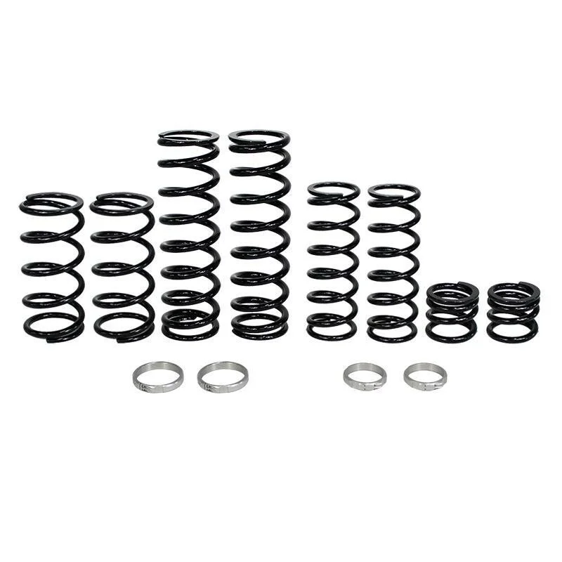 ZBROZ - K30-PL1019-0 - Dual Rate Spring Kit
