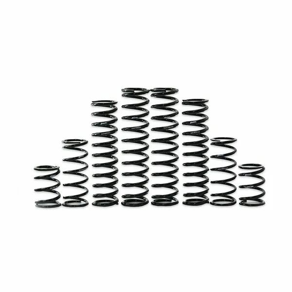 ZBROZ - K30-KA1001-0 - Dual Rate Spring Kit