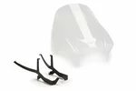 PUIG - 20527W - Naked New Gen Windscreen