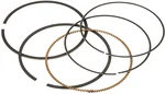Vertex 590395000001 Piston Rings - High-Performance Engine Components for Powersports