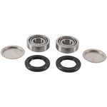 PIVOT WORKS - PWSAK-H42-000 - Swingarm Bearing Kit
