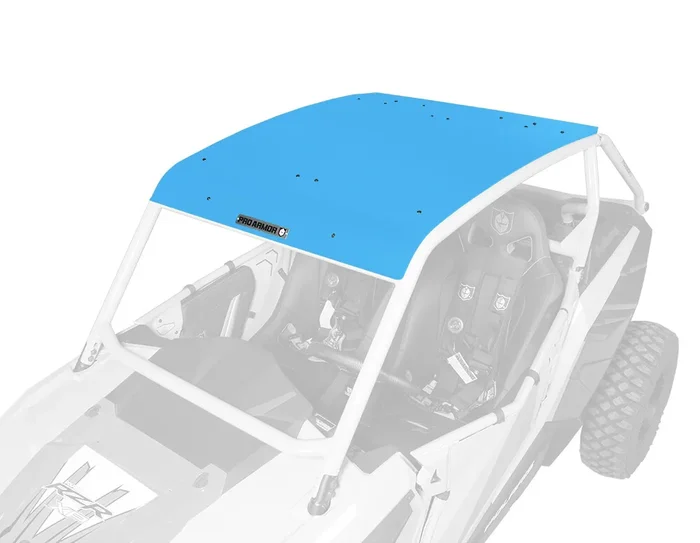 PRO ARMOR Asylum Roof P141295SB - Durable UTV Cab Roof with Windshield & Rollbar