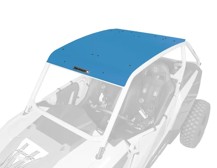 PRO ARMOR Asylum Roof - Durable UTV Cab Roof with Enhanced Protection