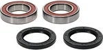 PIVOT WORKS - 25-1042-P - Premium Wheel Bearing Kit