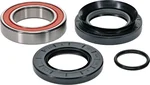 PIVOT WORKS - 25-1331-P - Premium Wheel Bearing Kit