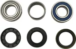 ALL BALLS - 14-1084 - Chaincase Bearing and Seal Kit