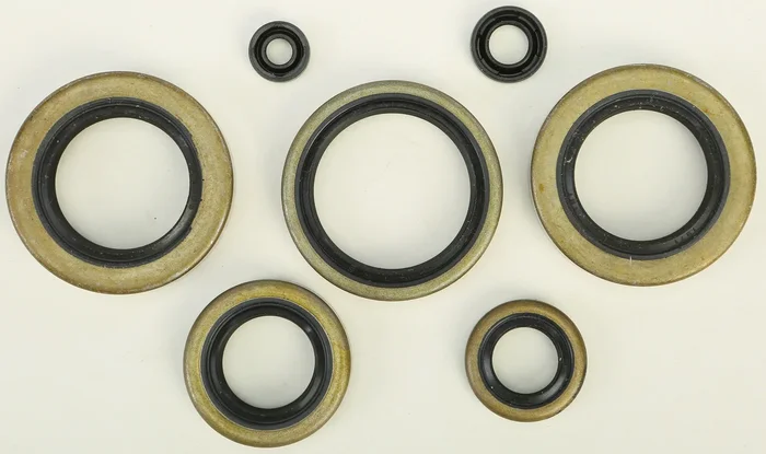 VERTEX Oil Seal Kit - High-Quality Gasket Set for Powersports Equipment