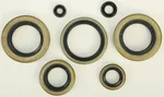 VERTEX Oil Seal Kit - High-Quality Gasket Set for Powersports Equipment