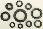 VERTEX 822107 Oil Seal Kit - Durable Gasket Set for Powersports Vehicles