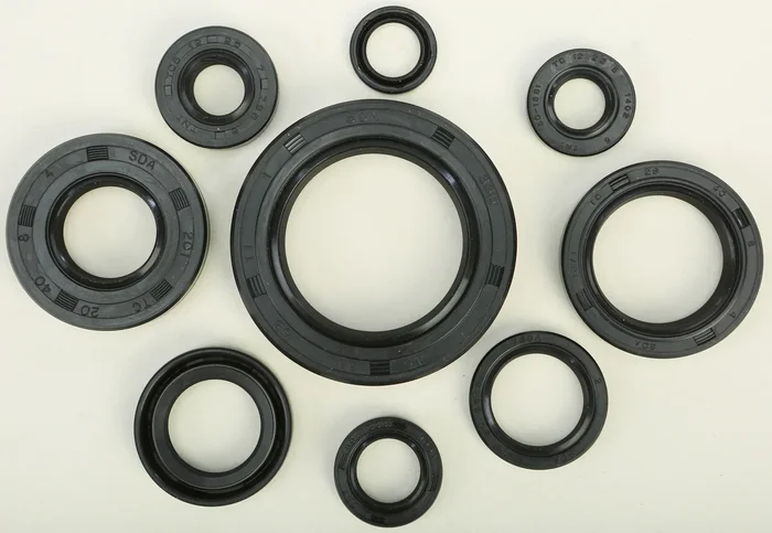 VERTEX 822109 Oil Seal Kit - High-Quality Gasket Set for Powersports Equipment
