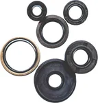 Vertex 822111 Oil Seal Kit - Premium Gasket/Seal Kit for Powersports Equipment