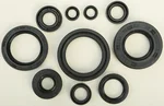 VERTEX Oil Seal Kit - Durable Gasket Set for Powersports Engines