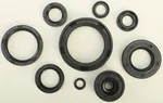 VERTEX Oil Seal Kit - High-Quality Gasket Set for Powersports Engines