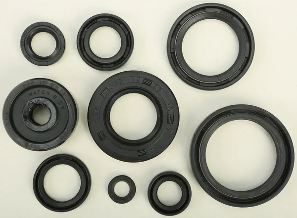 VERTEX Oil Seal Kit - Durable Gasket Set for Powersports Engines