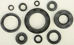 VERTEX - 822122 - Oil Seal Kit