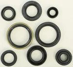 VERTEX Oil Seal Kit - Durable Gasket Set for Powersports Engines