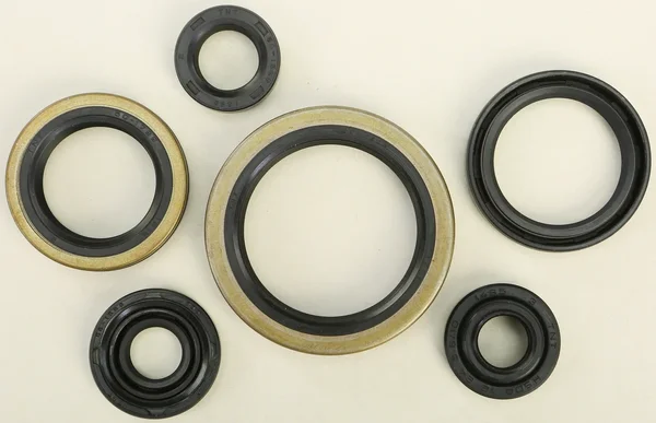 VERTEX Oil Seal Kit - High-Quality Gaskets/Seals for Powersports Equipment