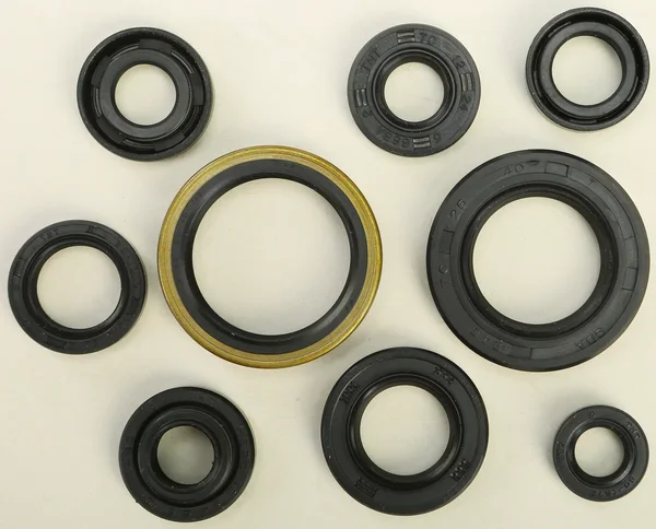 VERTEX Oil Seal Kit - High-Quality Gaskets/Seals for Powersports Equipment