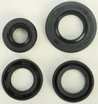 VERTEX Oil Seal Kit - Durable Gasket Set for High-Performance Engines