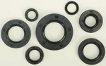 VERTEX Oil Seal Kit - Durable Gasket Set for Motorcycles & ATVs