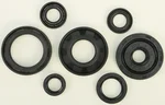 VERTEX Oil Seal Kit - High-Quality Gasket Seal for Powersports Engines