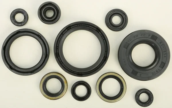VERTEX Oil Seal Kit - Durable Gasket Set for Powersports Equipment