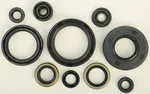 VERTEX Oil Seal Kit - Durable Gasket Set for Powersports Equipment