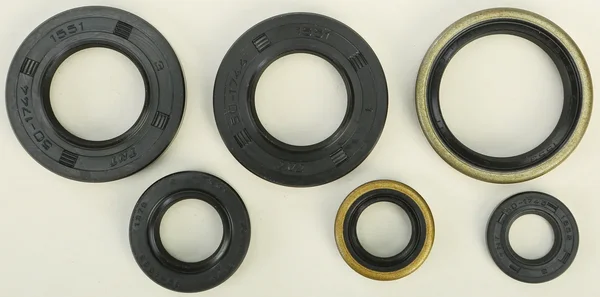 VERTEX Oil Seal Kit - Durable Gasket Set for Powersports Equipment