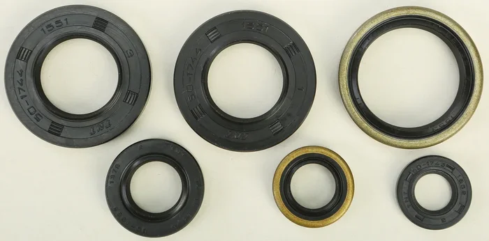 VERTEX Oil Seal Kit - Durable Gasket Set for Powersports Equipment
