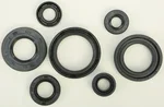 VERTEX Oil Seal Kit - Premium Gasket/Seal Replacement for Powersports Equipment