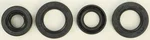 VERTEX Oil Seal Kit - Durable Gasket Set for Powersports Engines
