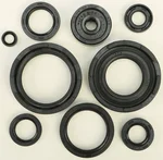 VERTEX Oil Seal Kit - Durable Gasket Set for Powersports Engines | Vertex Seals