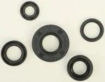 VERTEX Premium Oil Seal Kit - Durable Gaskets/Seals for Powersports Equipment