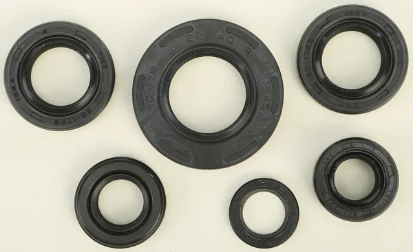 VERTEX 822224 Oil Seal Kit - High-Quality Gasket Set for Powersports Equipment