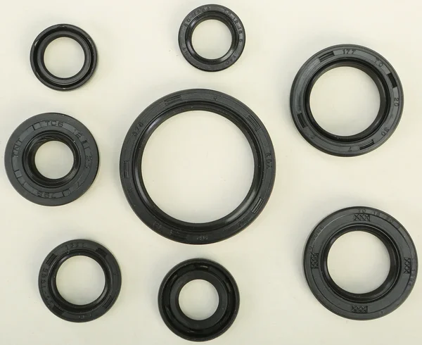 VERTEX Oil Seal Kit - High-Quality Gaskets/Seals for Powersports Equipment