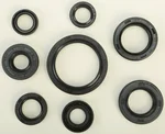 VERTEX Oil Seal Kit - High-Quality Gaskets/Seals for Powersports Equipment