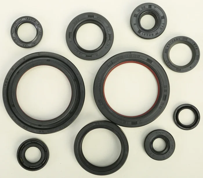 VERTEX Oil Seal Kit for Powersports - Durable Gasket Set for Reliable Engine Performance