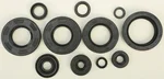 VERTEX Oil Seal Kit - Durable EPDM Gasket Set for Motorcycles & ATVs