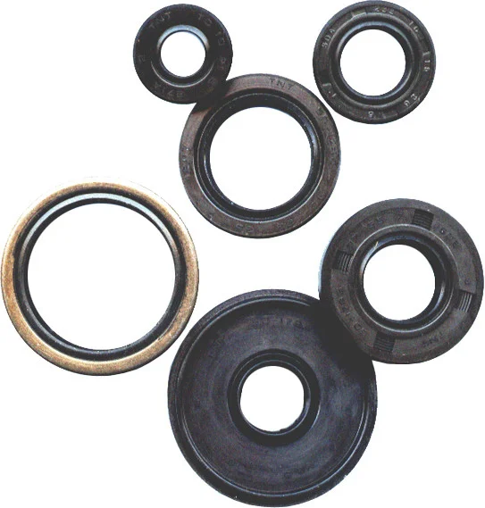 Vertex Oil Seal Kit for ATVs/UTVs/Motorcycles - Durable Gasket Set with Nitrile Rubber & Metal Casings