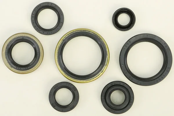 VERTEX Oil Seal Kit - Durable Gasket Solution for Powersports Equipment