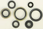 VERTEX Oil Seal Kit - Durable Gasket Solution for Powersports Equipment