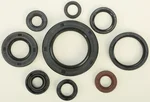 VERTEX Oil Seal Kit - High-Quality Gaskets/Seals for Powersports Equipment