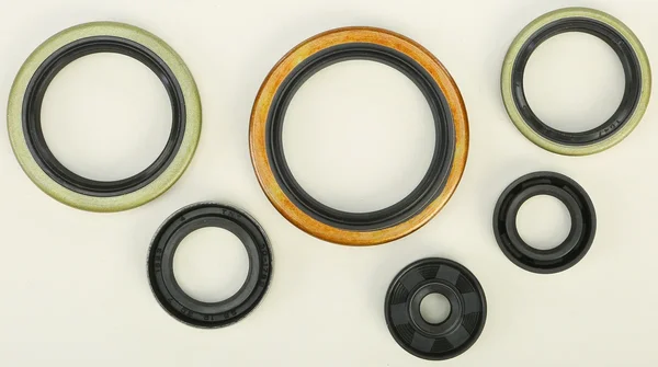 VERTEX Oil Seal Kit - Durable Gasket Set for High-Performance Engines